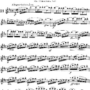 长笛曲谱 | 阿尔泰斯26首精选长笛练习曲 NO.21 Altes 阿尔泰斯