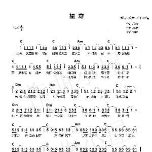 望穿_歌谱投稿_词曲:许零 陈粒