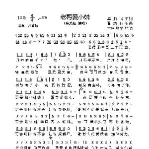 老哥爱小妹_歌谱投稿_词曲:成鹏飞 翟靖伟