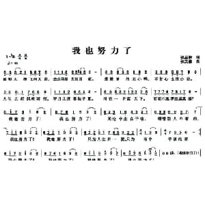 我也努力了_通俗唱法乐谱_词曲:张丛林 张文雅