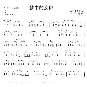 二胡谱 | 梦中的女郎 美 福斯特作曲 林光璇订谱