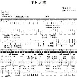 平凡之路 吉他谱 朴树 优客张sir