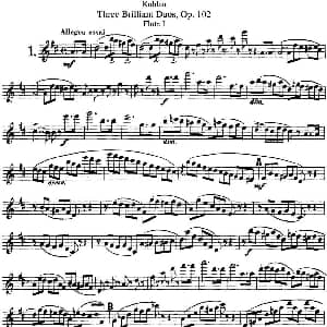 长笛曲谱 | 库劳长笛二重奏练习三段OP.102 Flute 1 NO.1 Kuhlau 库劳