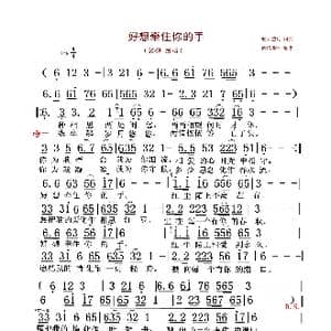 好想牵住你的手_歌谱投稿_词曲:轻云望月 轻云望月