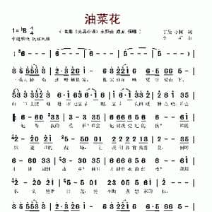 油菜花_歌谱投稿