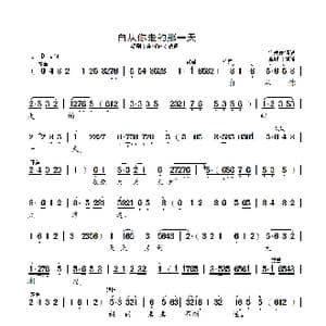 自从你走的那一天_歌曲简谱