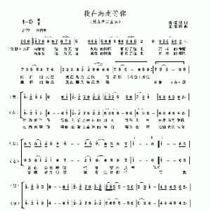 我在海南等你_歌曲简谱_词曲:陈道斌 王艳梅