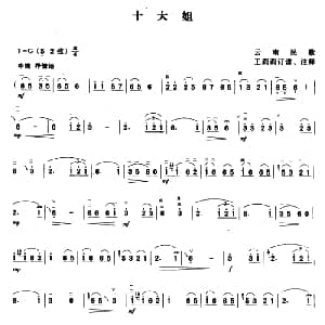 二胡谱 | 十大姐 云南民歌 王莉莉订谱
