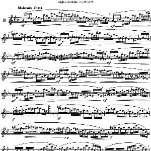 长笛曲谱 | 胡埃斯24首长笛练习曲Op.32 NO.9 胡埃斯