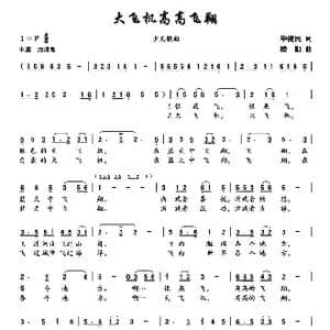 大飞机高高飞翔_歌曲简谱_词曲:毕健民 楼勤
