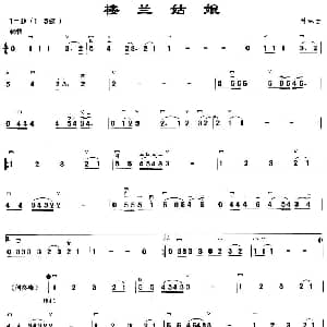 二胡谱 | 楼兰姑娘 付林