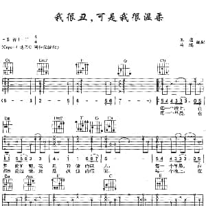 我很丑 可是我很温柔 吉他谱 赵传