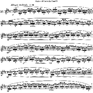 长笛曲谱 | 胡埃斯24首长笛练习曲Op.32 NO.16 胡埃斯