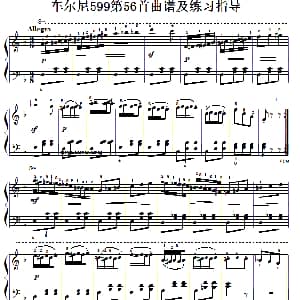 车尔尼599第56首曲谱及练习指导 钢琴谱