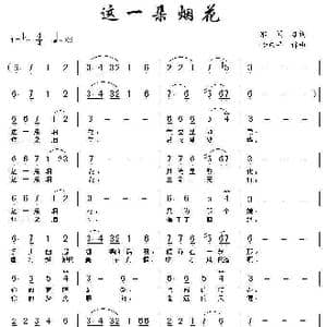 这一朵烟花_歌曲简谱_词曲:聆闻 杨东平