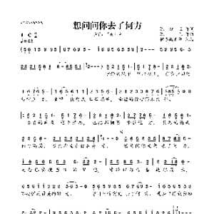想问问你去了何方_歌曲简谱