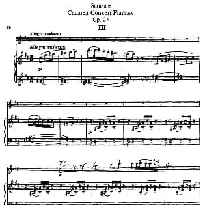 小提琴谱 | Carmen Concert Fantast Op.25 Ⅲ 小提琴 钢琴伴奏 Sarasate 萨拉萨蒂