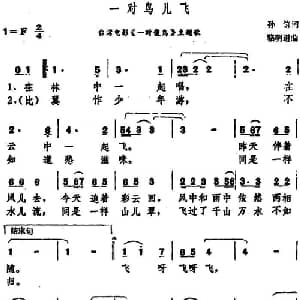 一对鸟儿飞_通俗唱法乐谱_词曲:孙信 洛明道