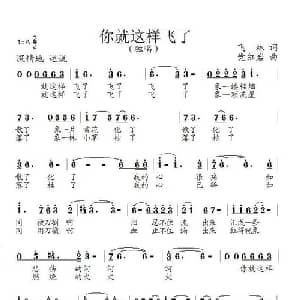 你就这样飞了_通俗唱法乐谱_词曲:飞林 党红岩