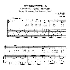 不知道我自己干了什么 奥地利 _外国歌谱_词曲: 奥 W.莫扎特