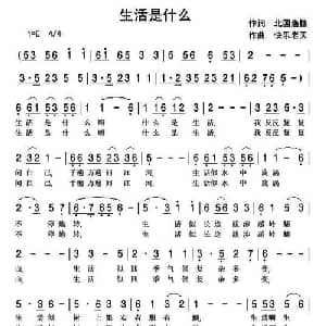 生活是什么_通俗唱法乐谱_词曲:北国渔樵 快乐老天