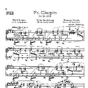 53首以肖邦练习曲为素材而作的练习曲 钢琴谱 里奥鲍尔德 戈多夫斯基