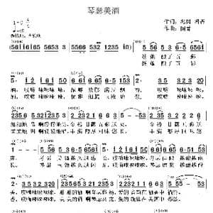 琴瑟美酒_歌谱投稿_词曲:兆岗 阁菁 阁菁