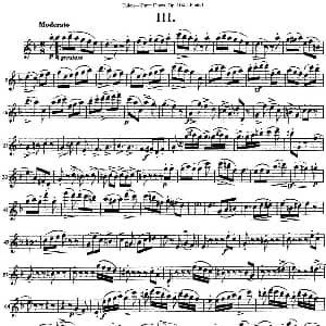 长笛曲谱 | 图露三首长笛简易重奏曲Op.104 Flute 1 NO.3 Tulou 图露