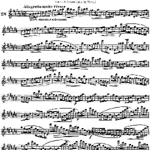 长笛曲谱 | 柯勒30首高级长笛练习曲作品75号 NO.28 Kohler 柯勒