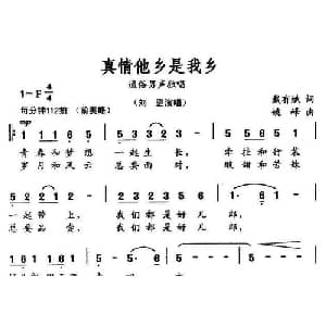 真情他乡是我乡_通俗唱法乐谱_词曲:戴有斌 姚峰