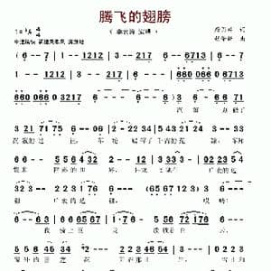 腾飞的翅膀_歌谱投稿_词曲:唐国兴 胡泽新