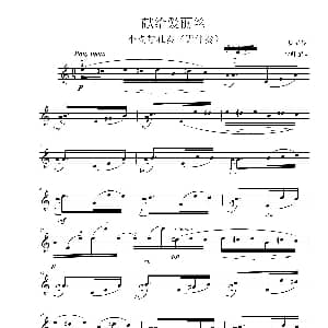 小提琴谱 | 献给爱丽丝 无伴奏小提琴独奏 贝多芬作曲 王少师编曲