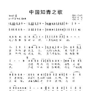 中国知青之歌_歌曲简谱_词曲:胡宏伟 铁源