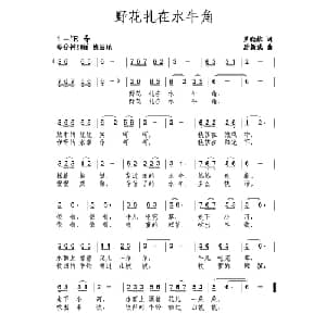 野花扎在水牛角_儿歌乐谱_词曲:罗晓航 唐新成