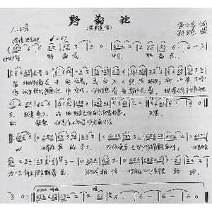 野菊花_歌曲简谱_词曲:黄小名 孙卫东