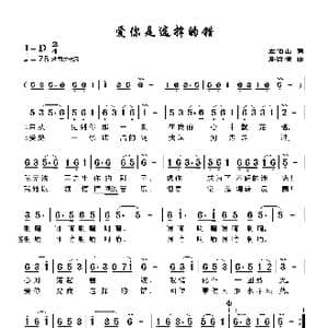 爱你是选择的错_歌曲简谱_词曲:左伯山 孙渝棕
