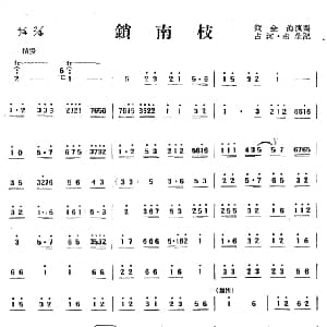 锁南枝 唢呐 山东菏泽民乐 根生记谱