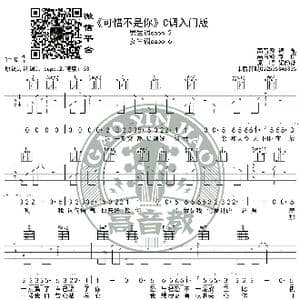 可惜不是你 吉他谱C调入门版 高音教编配 猴哥吉他教学_歌曲简谱