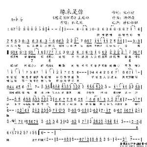 缘来是你_歌谱投稿_词曲:宋永前 汤姆森