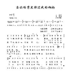 当你的秀发拂过我的钢抢_歌曲简谱_词曲:王磊 印青