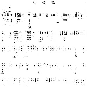 琵琶谱 | 小银枪
