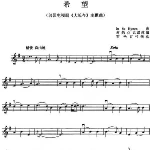 小提琴谱 | 希望 韩国电视剧 大长今 主题曲 In Se Hyeon曲 高炳点记谱改编