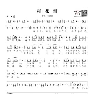 梅花泪_通俗唱法乐谱_词曲:刘海东 刘亦敏