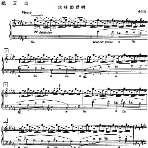 钢琴教程第八级 练习曲 钢琴谱 李斯特