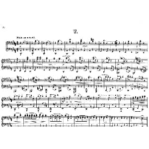 12 Waltzes Op.59 4 Hands 钢琴谱