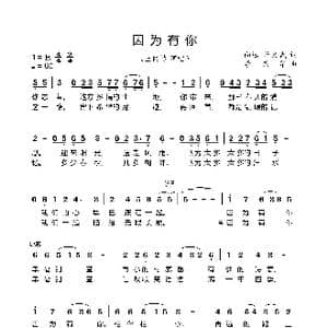 因为有你_歌曲简谱_词曲:向远,蒋文武 李亮华