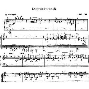 手风琴谱 | 手风琴世界名曲 D小调托卡塔 德 J S 巴赫