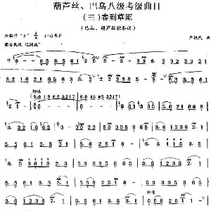 巴乌八级考级曲目 春到草原 严铁民