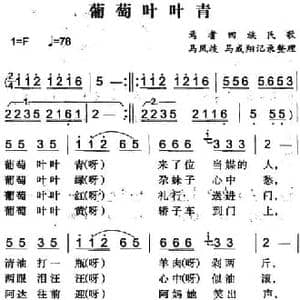 葡萄叶叶青_民歌简谱_词曲: 马凤岐 马成翔记录整理
