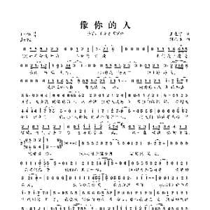 像你的人_歌谱投稿_词曲:王生宁 刘思远